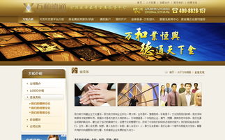 万和德通官方网站设计制作成功案例——沙漠风网站建设公司