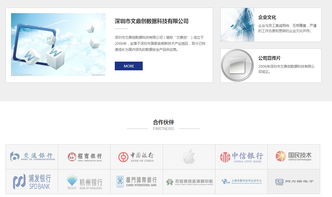 沙漠风 深耕深圳网站建设，以专业设计驱动品牌数字化未来